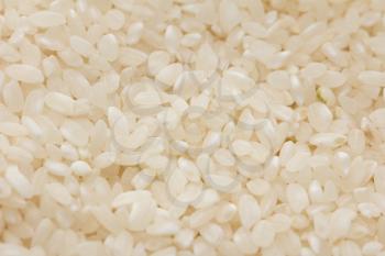 background of white rice. macro