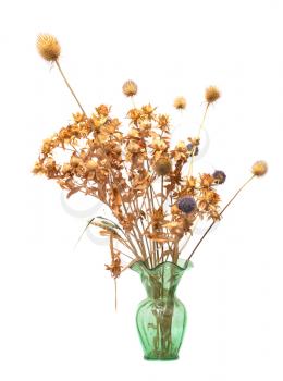 dried flowers in a vase on a white background