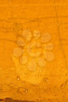 hand prints on an orange background