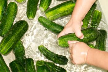 cucumber in the children's hand