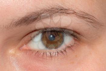 Female eye close-up