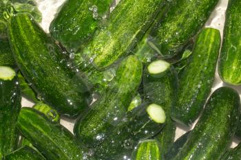 cucumber in water