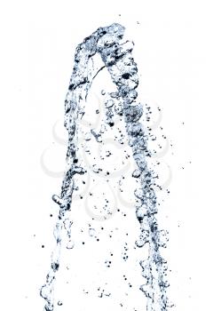 with splashes of water on a white background