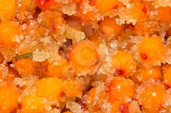 sea-buckthorn berries with sugar as a background