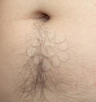 Male hairs belly, bellybutton