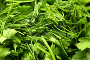 background of chopped fennel with parsley. macro