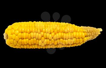 corn on a black background