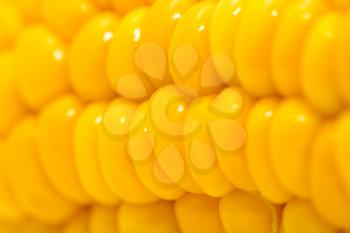 corn as a backdrop. macro