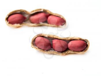 peanuts on a white background. macro