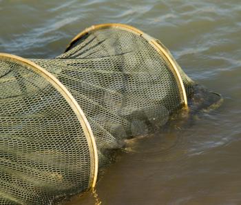 Bag of fish on the river bank .