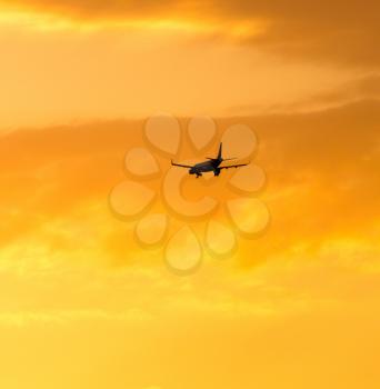 The plane is landing at the yellow sunset
