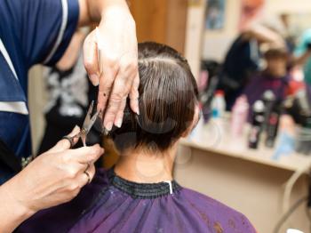 Female haircut with scissors in the beauty salon .