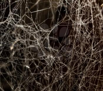 Spider web on the ceiling as a background .