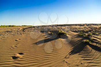 Landscape with sand in the desert as a background .