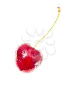 One red cherry on a white background