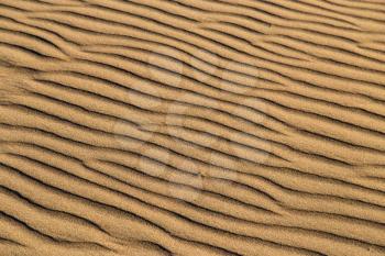 Sand in the desert as a background .