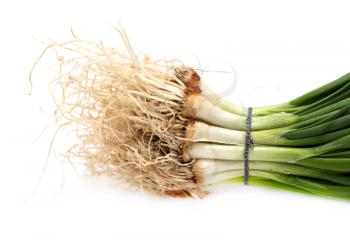 the roots of green onions on a white background. macro