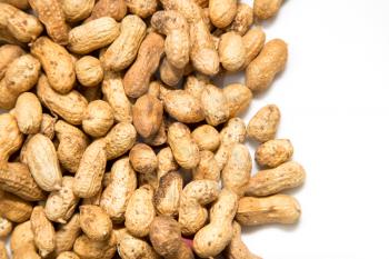 Background of peanuts. macro