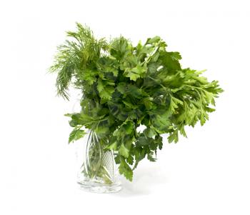 parsley and dill on a white background. macro