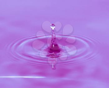 a drop of water falls in a purple water. macro