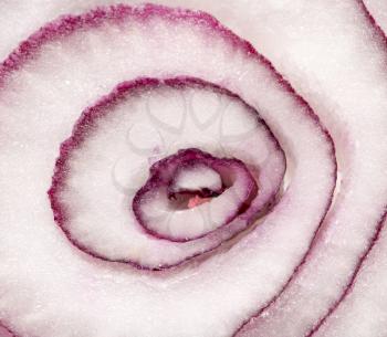 Red Onion Slice cross section, macro background closeup