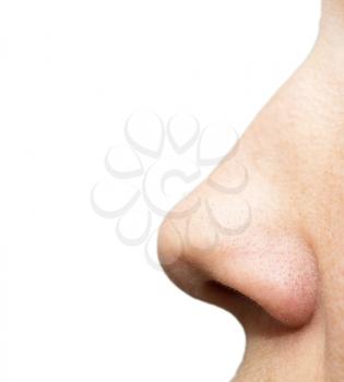 nose on a white background. macro