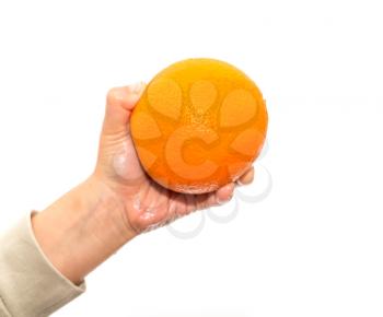 orange in a hand on a white background