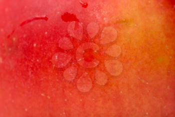 background of a red apple. macro