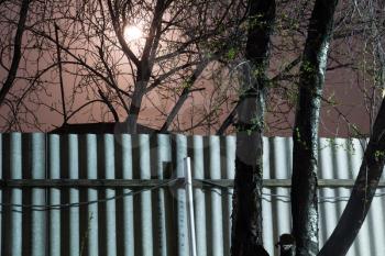 night photography. Moon over the fence and trees