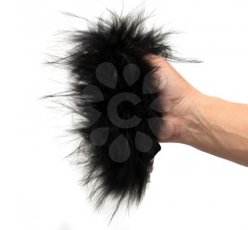 black fur in his hand on a white background
