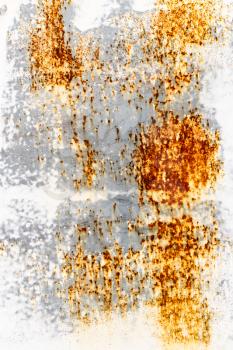 abstract background of rusty painted metal