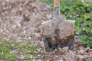 spade in the garden