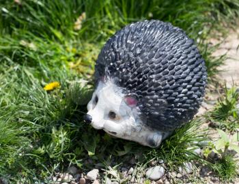 artificial hedgehog nature