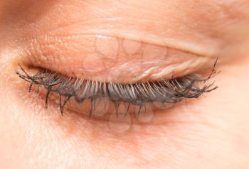 women's eyelashes. close-up