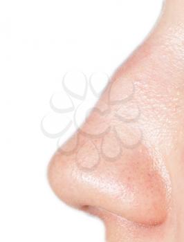 nose on a white background