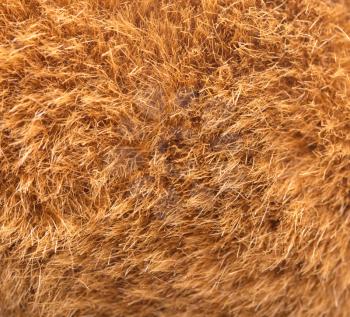 background of fur