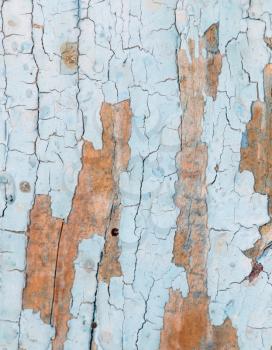 old wooden background with blue paint