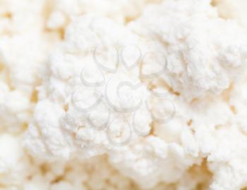 white curd as background. macro