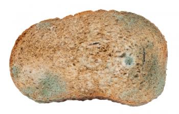 Moldy bread. Isolated on white background