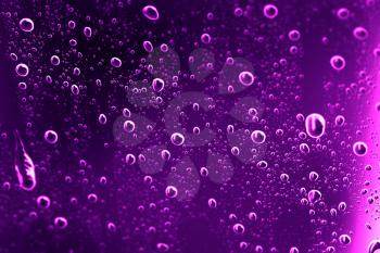 drops of water on purple glass