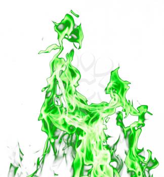 green fire flames on a white background