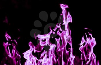 violet flame fire on black background