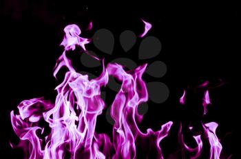 violet flame fire on black background