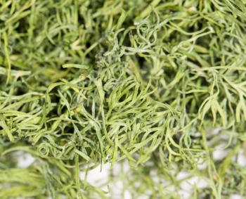 dry dill. close-up