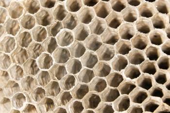 honeycomb as background