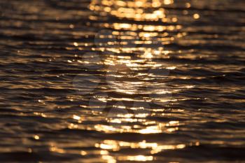 background of water in the rays of the golden sun