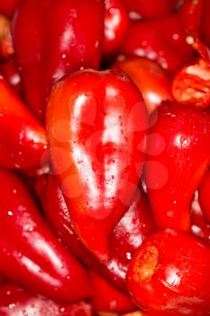 red pepper as background