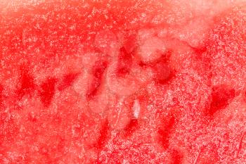 watermelon. close-up