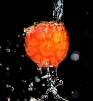 persimmon in water on a black background