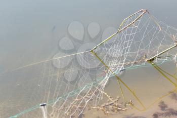 net in the water
